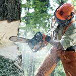 Bonner Count Law On Using Chainsaws