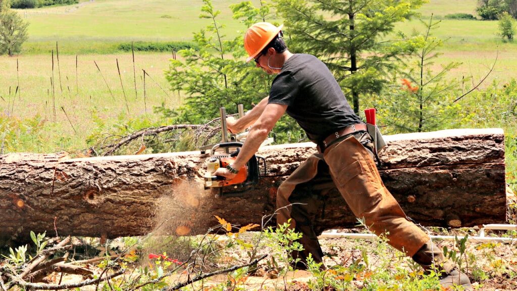 Bonner Count Law On Using Chainsaws