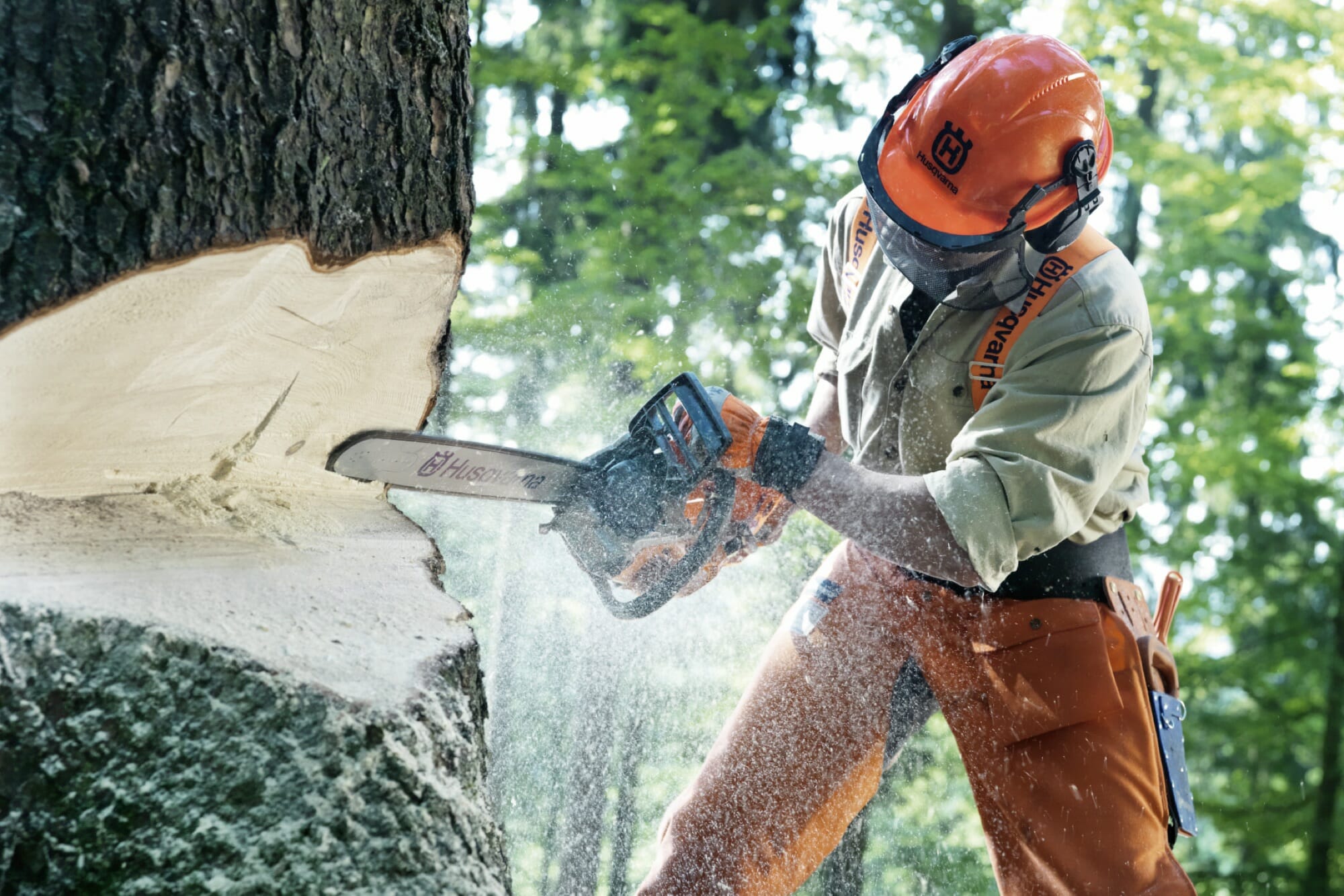 Bonner Count Law On Using Chainsaws